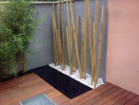 Miniatura: Bamboo grueso