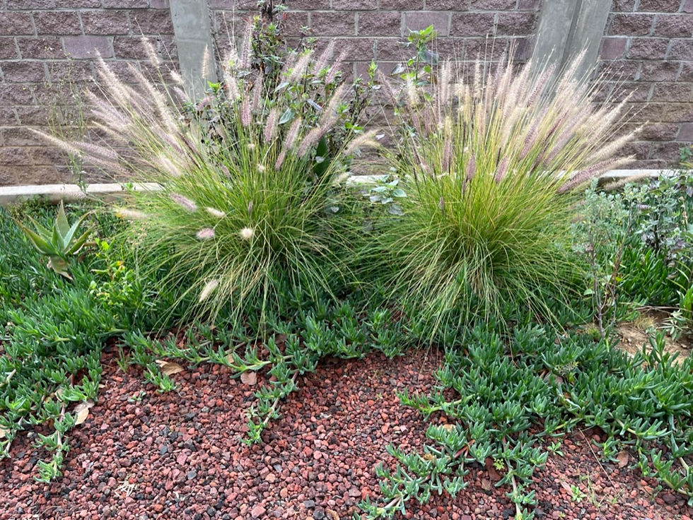 Miniatura: Tezontle Rojo