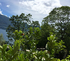 Le isole di Brissago