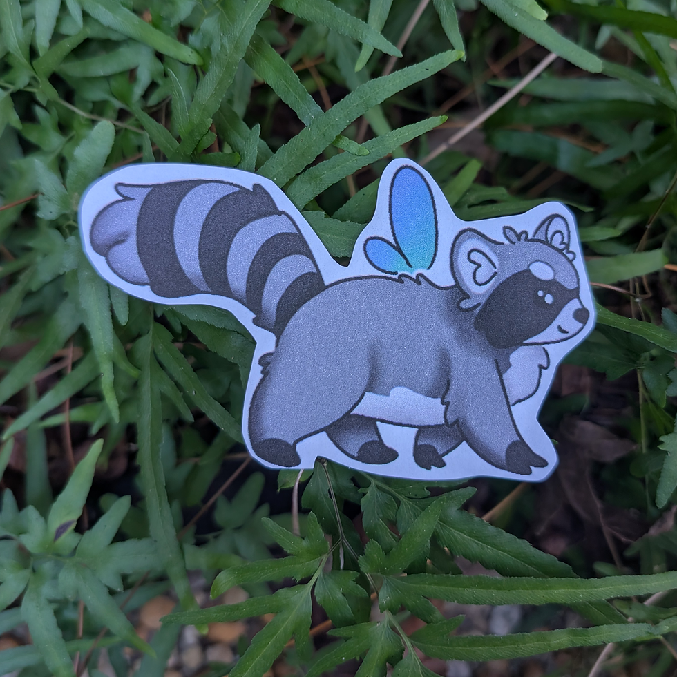 raccoon