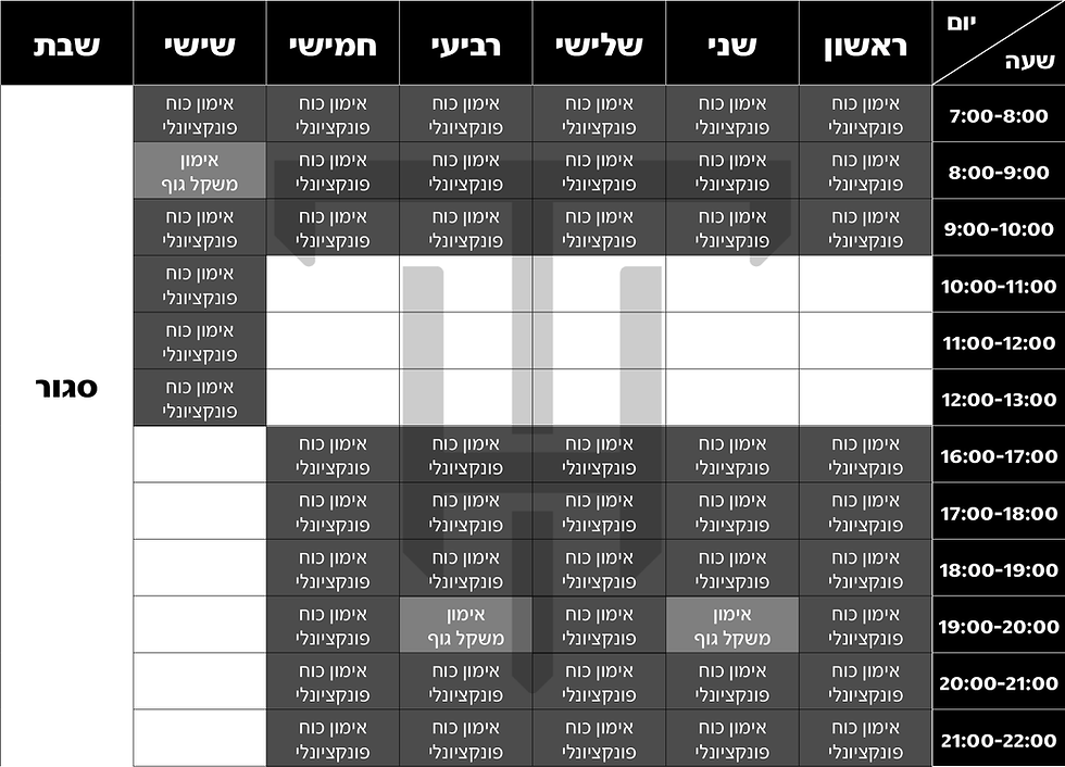 מערכת שעות חדשה מעודכנת.png
