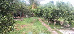 WhatsApp Image 2021-02-26 at 5.21.46 PM