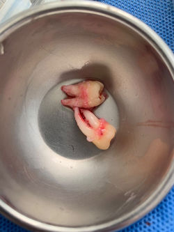 85AB4971-76D7-4346-9967-2311E79CB830