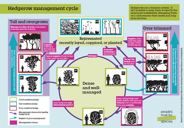 Screenshot 2022-02-23 at 10.49.30.png