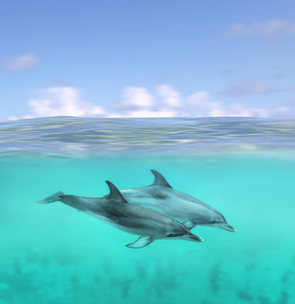 Fotograf: RAMONA BACH
Trelleborg