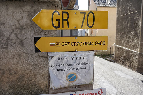 DSC04085-01.jpeg