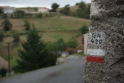 DSC04044-01.jpeg