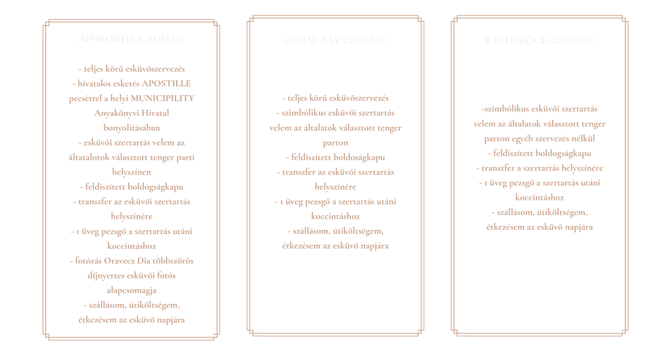 Beige Gold Elegant Wedding Packages Price List (40 x 21 cm).png