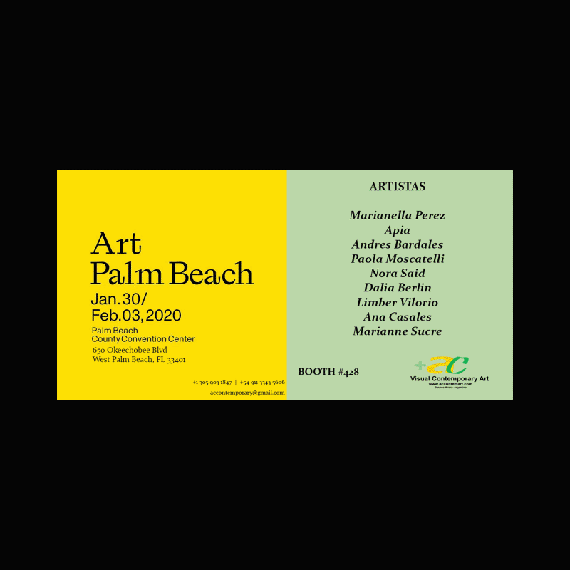 Visual artist at palm beach.gif