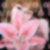 music_pcec_main_20230303_edited.jpg