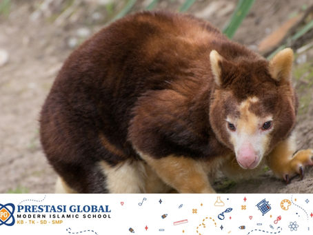 Mengenal 10 Hewan Endemik Indonesia yang Terancam Punah