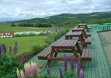 ペンション ケンとメリー 北海道 美瑛 Kenmary ケンとメリーの木 雄大 スカイライン