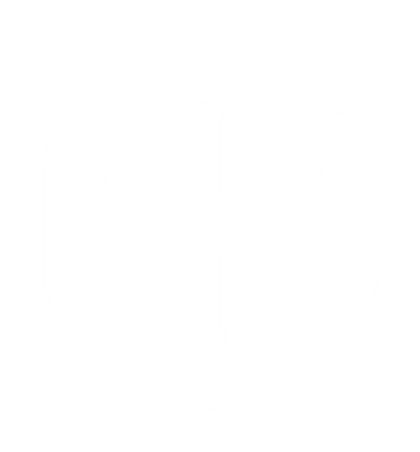 Kaeltekammer Steyr Logo Schneeflocke