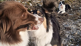 ballade-colective-drumettaz (1)_edited_e