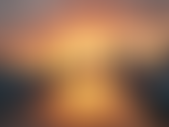 10 datos sorprendentes sobre Tampa Bay, Florida, que te dejarán boquiabierto