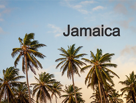 Palm Trees_edited.jpg