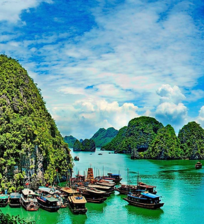 Screenshot 2025-04-28 at 12.23.54 PM.png