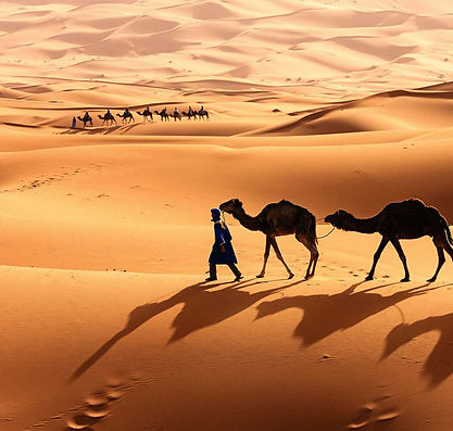 SaharaDesert-58c1a5603df78c353c3d525d.jpg