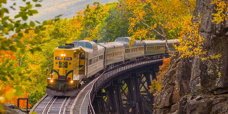 Train_163_Mountaineer_at_Frankenstein_DSCF4583-4_00560BDD-0ABC-97F4-79DBC77FBCCABF3A-00560