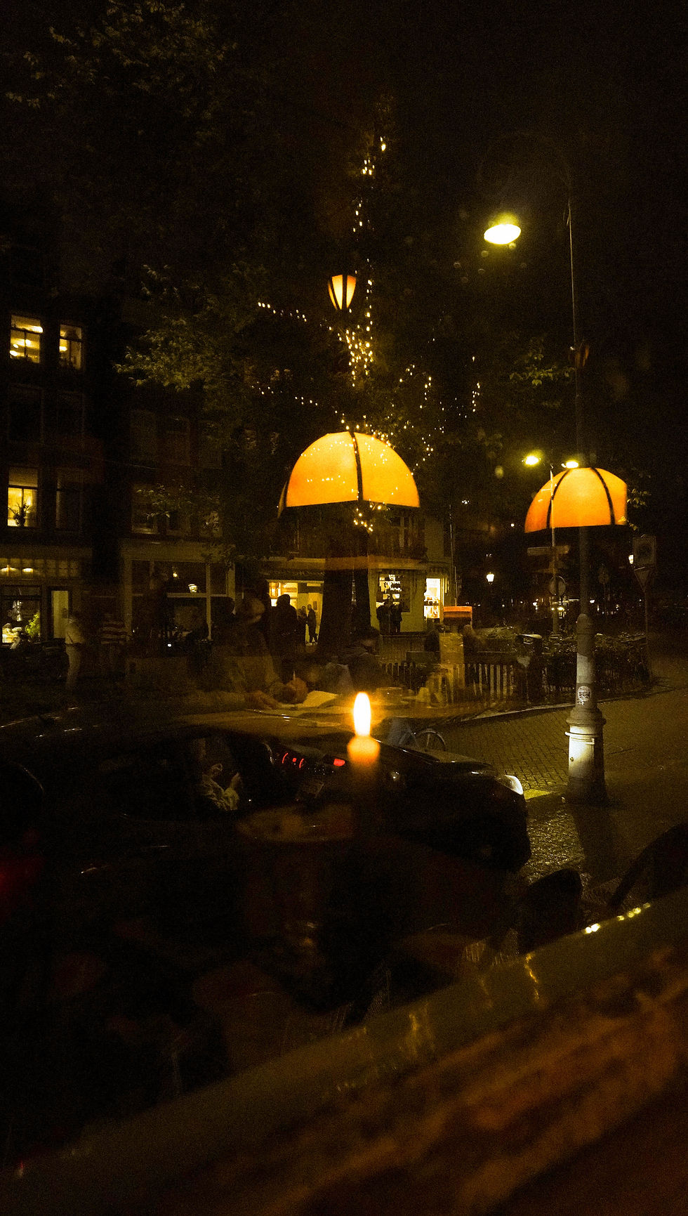 DSC08578.jpg