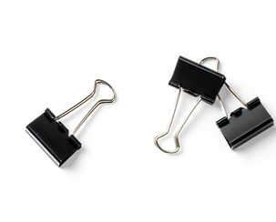 Succulent Plant and Binder Clips