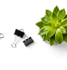 Succulent Plant and Binder Clips