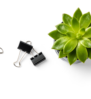 Succulent Plant and Binder Clips