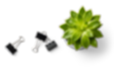 Succulent Plant and Binder Clips