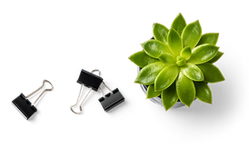 Succulent Plant and Binder Clips