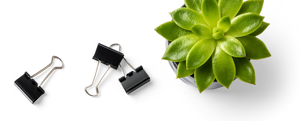Succulent Plant and Binder Clips