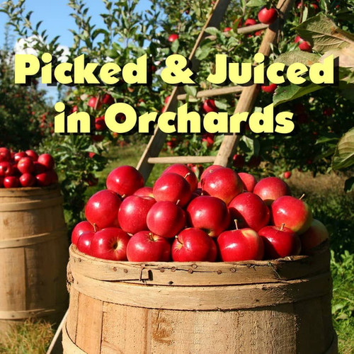 APPLE JUICE CONCENTRATE FOR HARD CIDER, 1kg Alephont