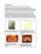 Dr. Rashmi's Article (Page 2)