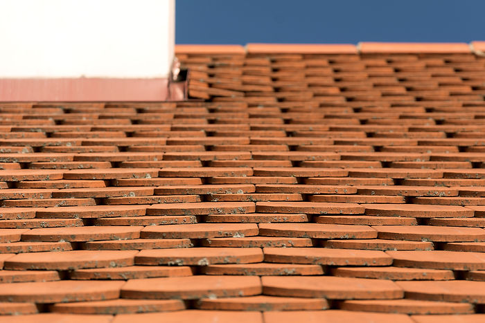 Roof Pattern.jpg