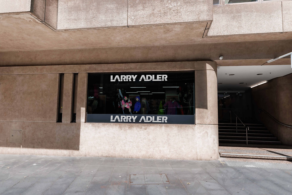 Larry Adler Ski and Outdoor