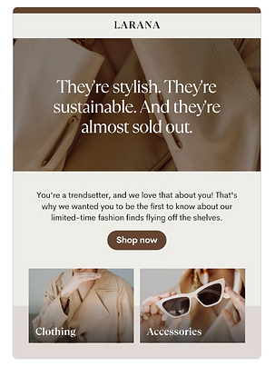 Monthly email campaign layout designed for local business