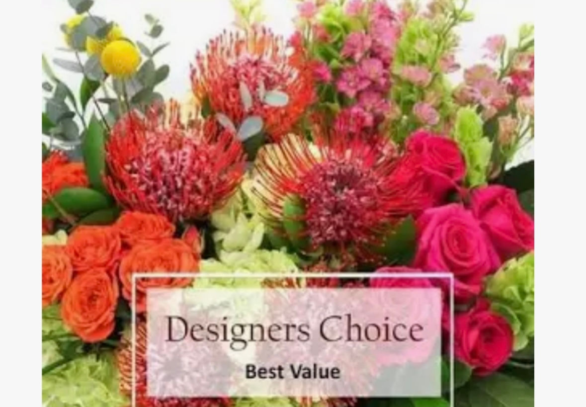 Designer Choice Premium Choose Color Option