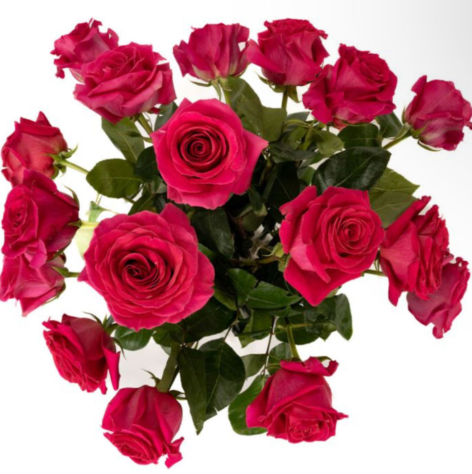Thumbnail: 18 Roses Vased -  Choose Color ⬇️ price includes delivery fee