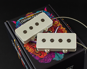 Bass Pickups Customy (20).png