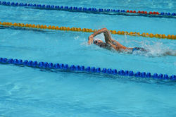 Natation Nage libre.jpg