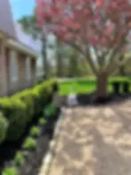 b004315f-48af-4ee6-9e48-f84c60970ba8