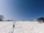 真庭の雪原を歩く人と、背景に見えるピアノ古民家がある風景