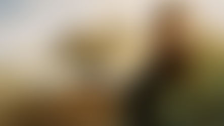 Eine Kritik zu"Kandahar": Eine nachdenkliche Reise in die Realitäten Afghanistans