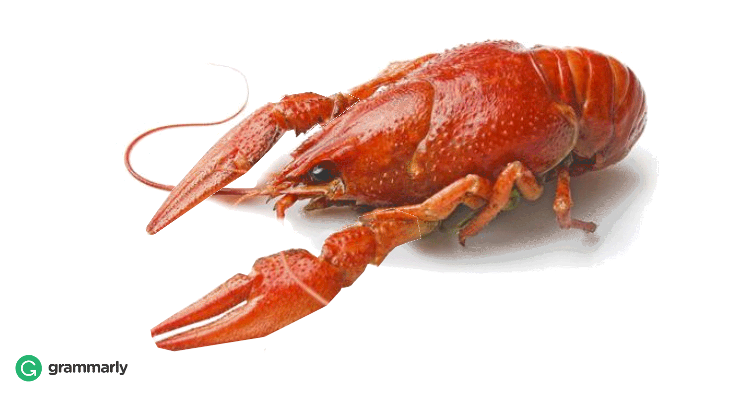 Crawfish