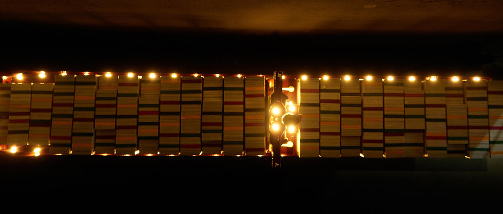 Thumbnail: Emma Maersk Container Model Ship with Lights
