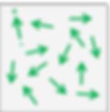Random orientation of different Weiss domains