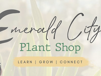 EMERALD CITY PLANT.png
