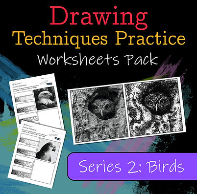 Drawing Practice Worksheets: Birds | Pen or Pencil Drawing Techniques