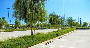 01 Cabrillo Marina Parking Lot.jpg