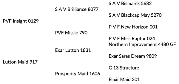 Split Decision Pedigree