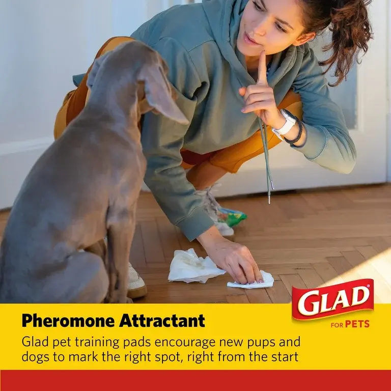 Thumbnail: Glad Activated Charcoal Leak-Resistant Training Pads for Dogs, 23inx23in, 14 ct.